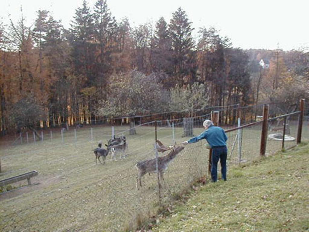 Pension Weber Jennersdorf Exteriör bild